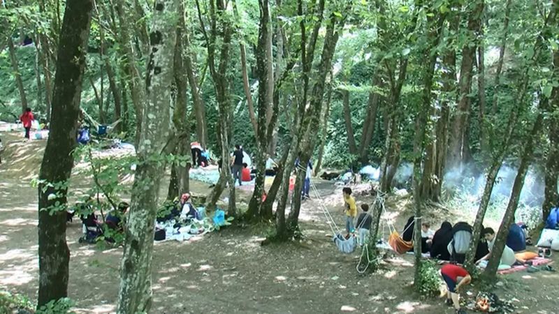 Belgrad Ormanı kapalı mı, giriş yasak mı? Temmuz-Ağustos 2022