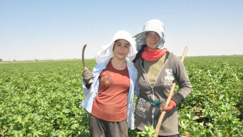 Mardin'de 45 derece sıcaklıkta çalışan öğrenciler: Herkes tatilde biz çalışıyoruz