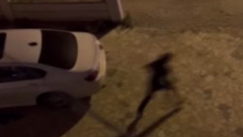 Büyükçekmece’de pişkin hırsızlar kamerada