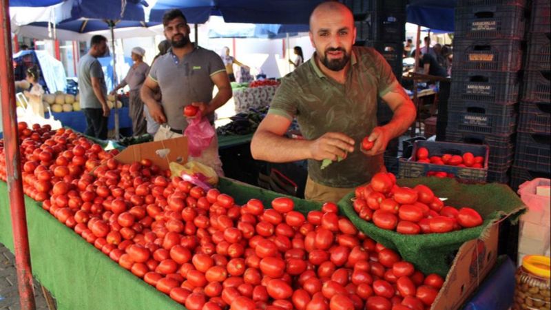 Aydın'da salçalık domatesler 5 TL'den tezgahlardaki yerini aldı