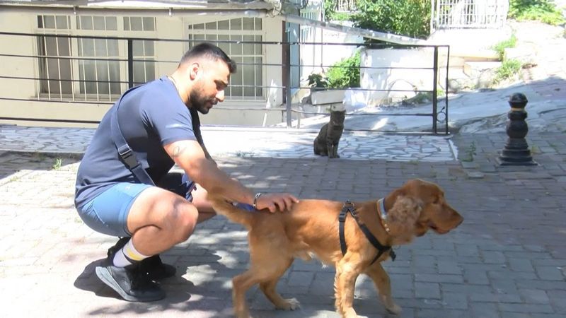 Merter'de köpeğini gezdiren adama kedi saldırdı