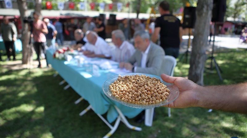 Çorum'un en iyi leblebi üreticileri belirlendi