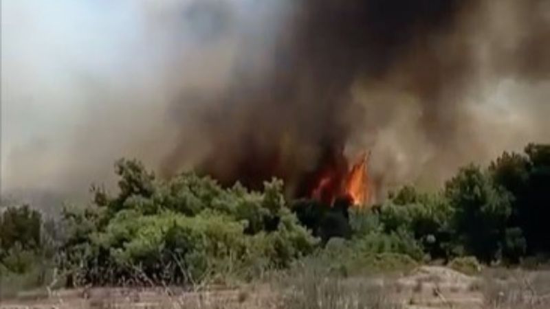 Antalya'daki orman yangını kontrol altında
