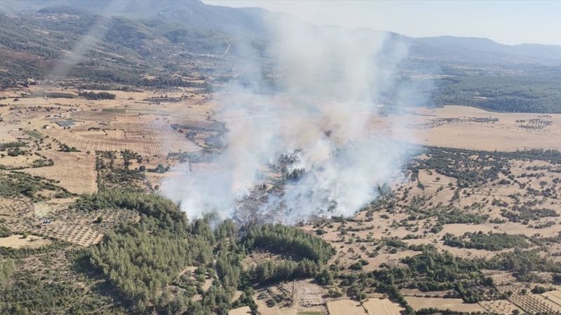 Milas'ta orman ve makilik alanda yangını çıktı