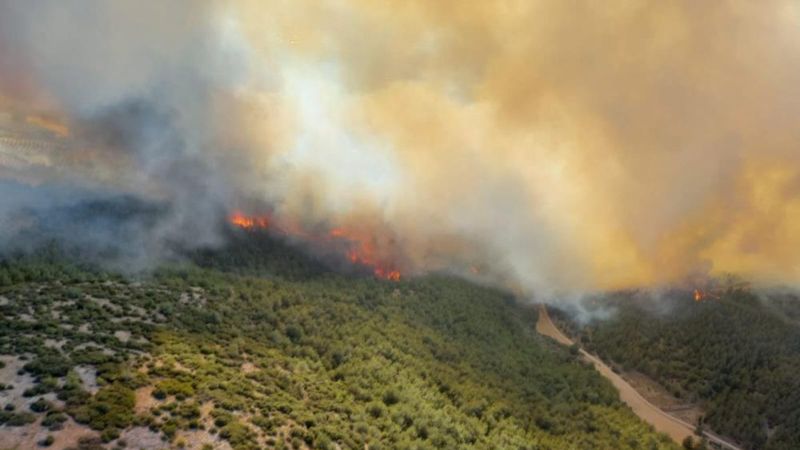 Manisa'da otluk alanda çıkan yangın ormana sıçradı
