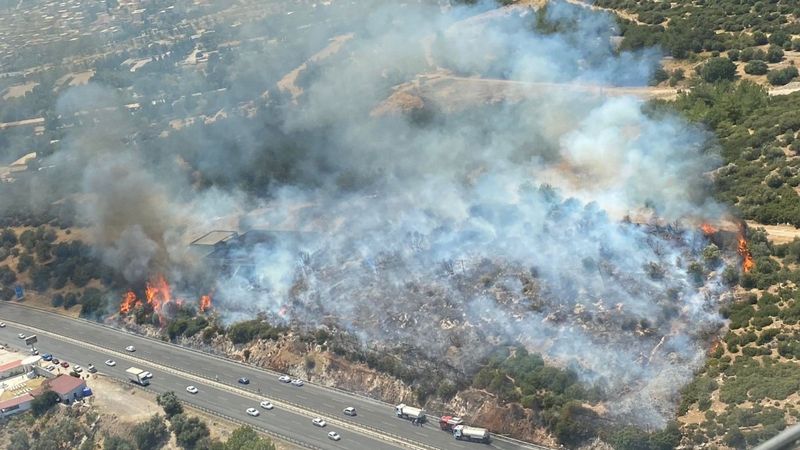 İzmir'de makilik alandaki yangına havadan ve karadan müdahale