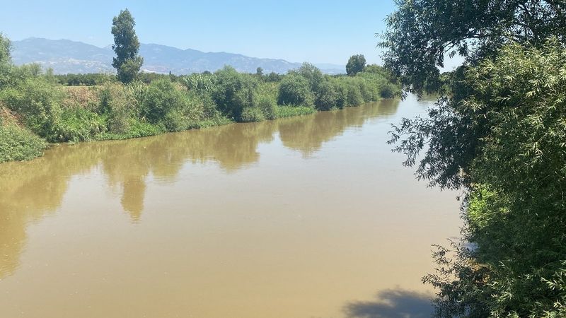Aydın'da kuraklık nedeniyle su sıkıntısı çeken çiftçilerin bu sene yüzü gülüyor