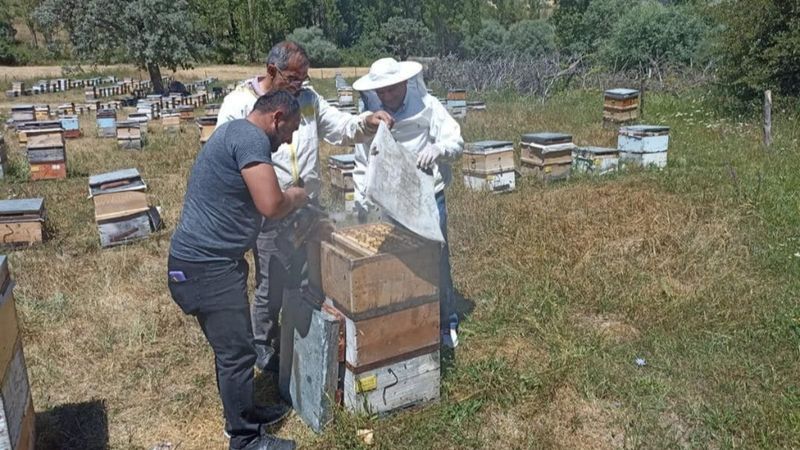 Binali Yıldırım, Erzincan'da sezonun ilk bal hasadına katıldı