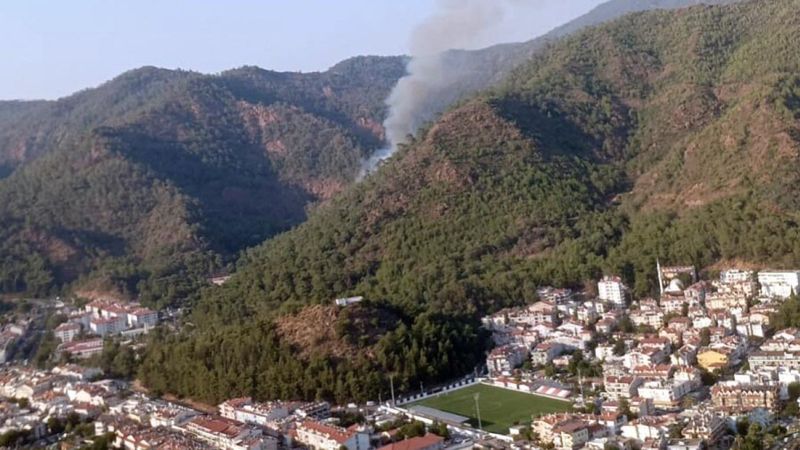 Muğla'da orman yangını