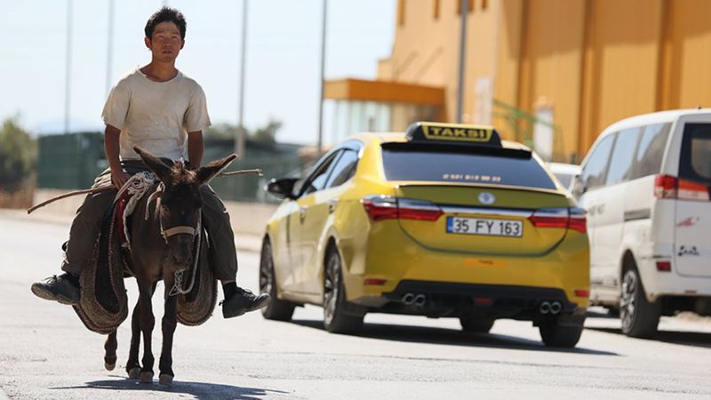 Japon turist eşekle adım adım Türkiye'yi gezdi