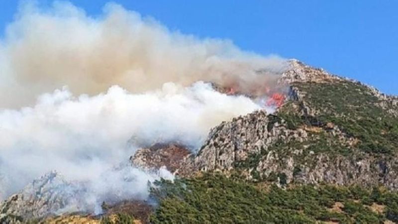 Türkiye'nin 3 ayrı bölgesinde orman yangını