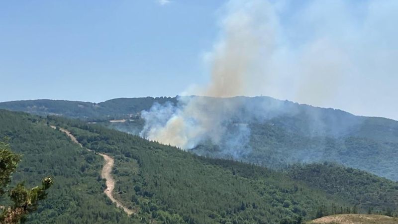 Çanakkale'de orman yangını