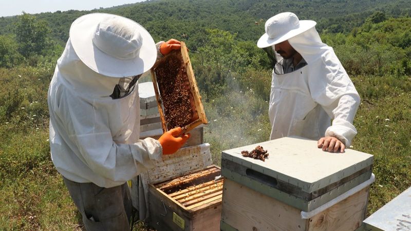 Yalova'da başlayan bal yolculuğu Tekirdağ'da tamamlandı