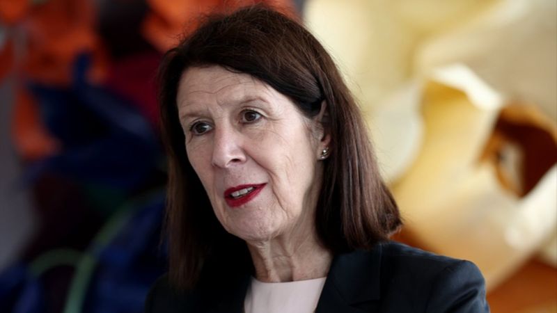 Hollanda Büyükelçisi Kwaasteniet: Türkiye'ye zaafım var