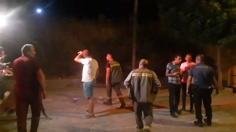 Aydın Söke'deki yangın söndürüldü