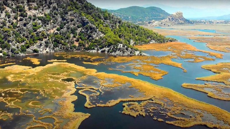Dalyan Kanalı'ndaki sazlıkların havadan görüntüsü