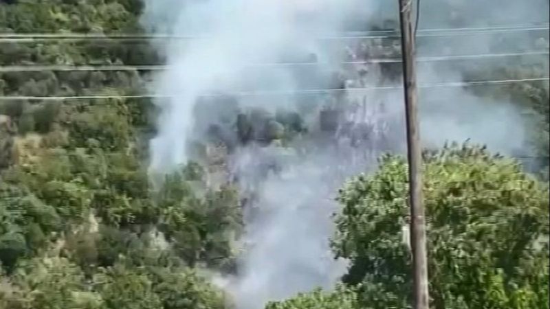 Kocaeli'de orman yangını: 1 kişi gözaltında