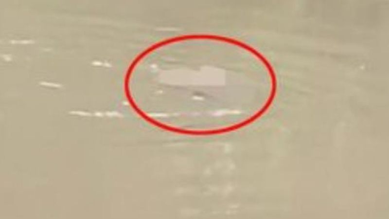 Hindistan'da kan donduran olay: Nehre düşen şahsı timsah yedi