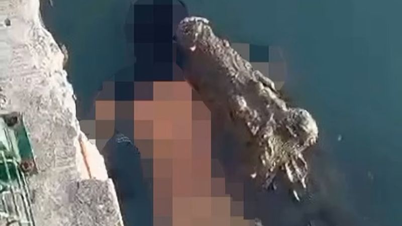 Meksika'da dev timsah, boğduğu adamı taşırken görüntülendi