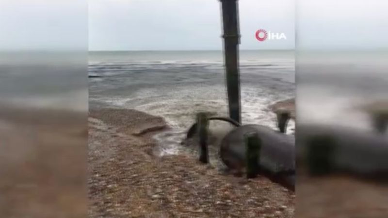 İngiltere’de kanalizasyon suyu denize aktı