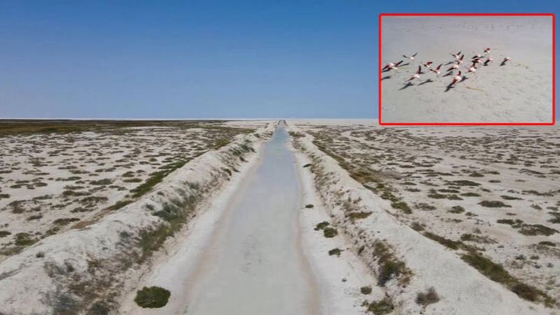 Tuz Gölü'ne borularla su taşındı, flamingolar canlandı