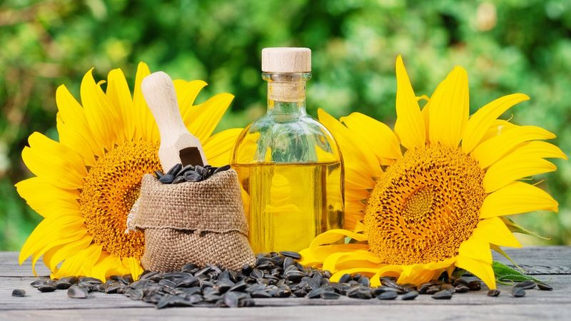 Ayçiçek yağı iyi mi kötü mü? İşte ayçiçek yağı hakkında her şey