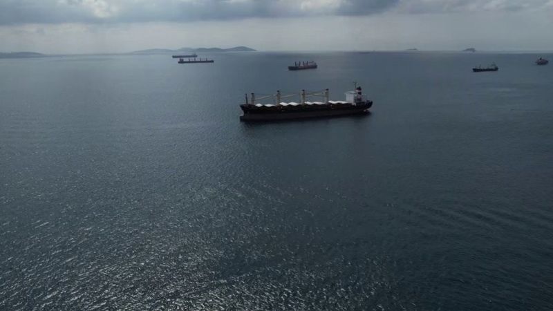 Ukrayna limanlarından tahıl yüklü 3 gemi hareket etti