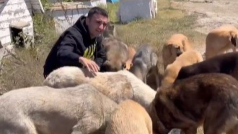 CZN Burak, sokak köpeklerini besledi
