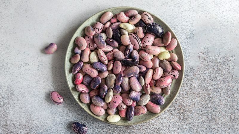 Hayvansal ve bitkisel proteinler arasındaki farklar