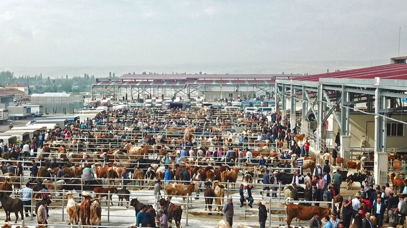 Çorum'daki hayvan pazarında kaybedilen 20 bin TL sahibine ulaştırıldı