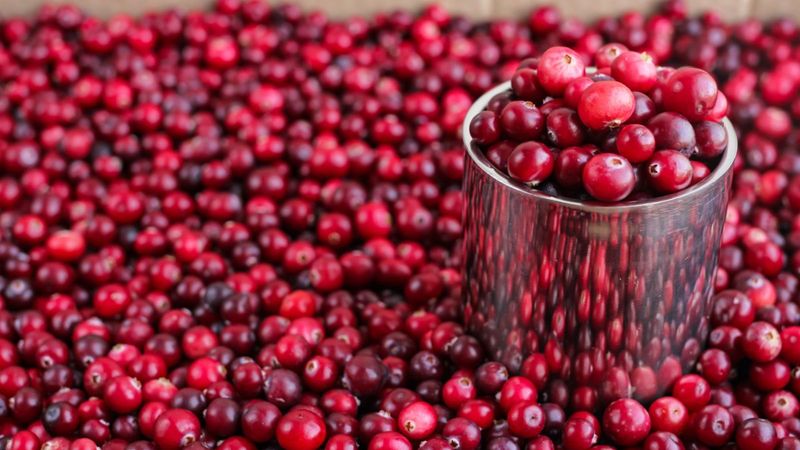 Metabolizmayı hızlandıran 10 besin