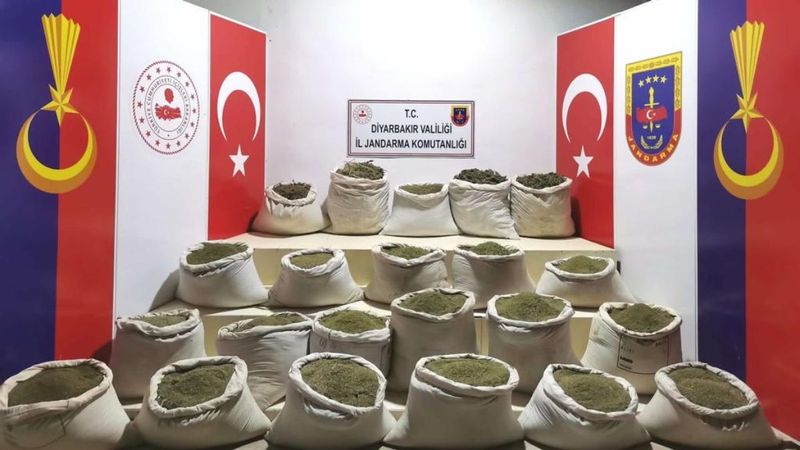 Bakan Soylu: Eren operasyonlarında bu yıl 79 milyon kök kenevir ele geçirildi