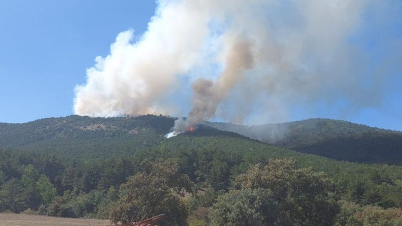 Eskişehir'de orman yangını