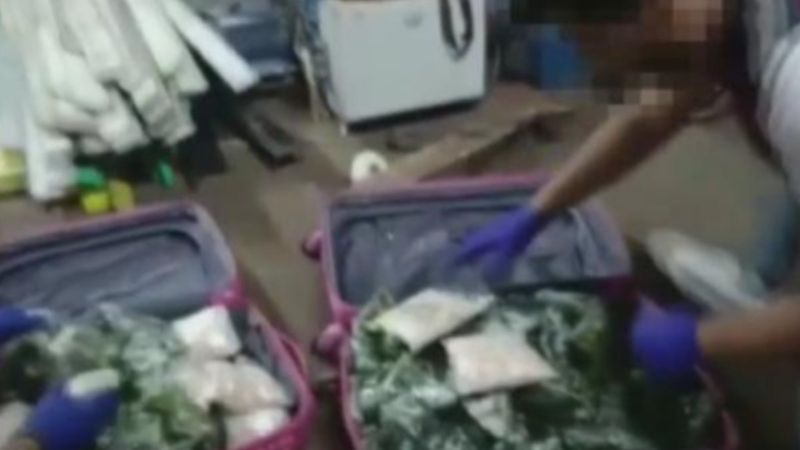 İstanbul'da 300 bin uyuşturucu hap ele geçirildi