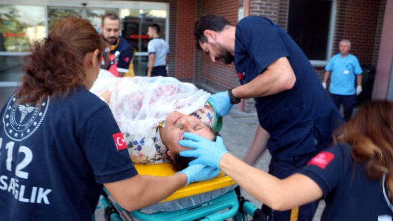 Tokat'ta akrabaların kavak ağacı kavgası