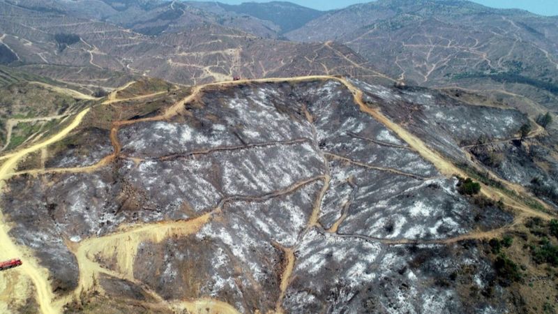 İzmir'de 430 hektarlık orman yangınının sanığı istinafta beraat etti