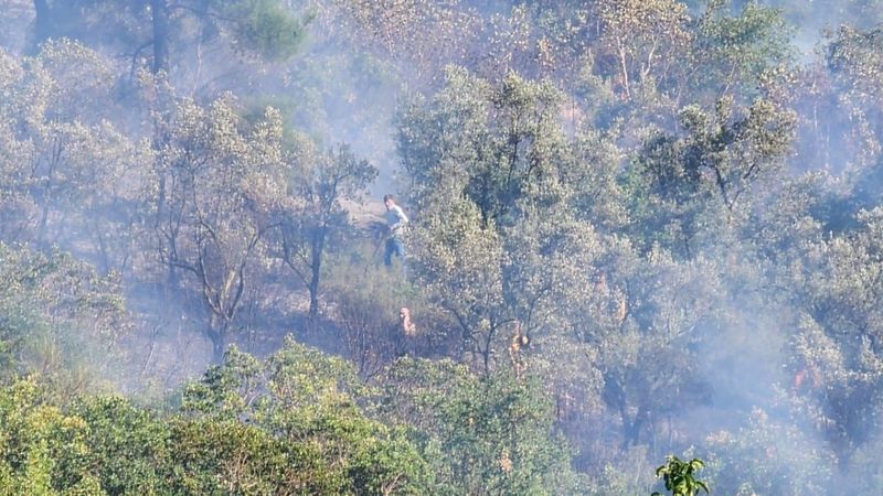 Bursa'da orman yangını: Havadan ve karadan müdahale ediliyor