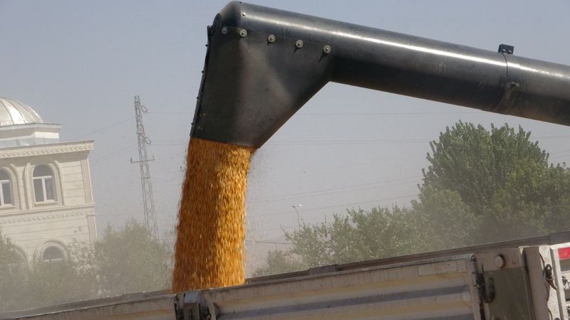 Batman'da, anız yakanlar 5 yıl tarımsal destek alamayacak