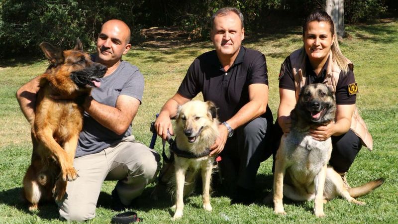 TBMM'nin güvenliğinde etkin rol oynayan kahraman köpekler