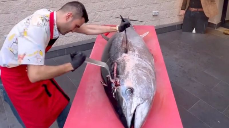 Czn Burak farkını balıkta da ortaya koydu