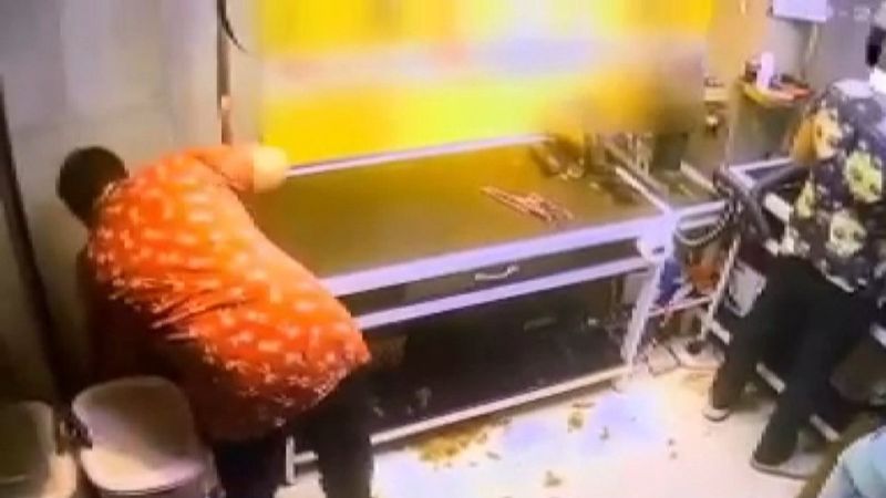 Bakırköy'de, pet kuaföründeki çalışan köpeğe şiddet uyguladı