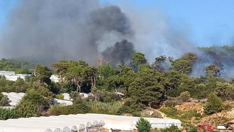 Antalya'da orman yangını