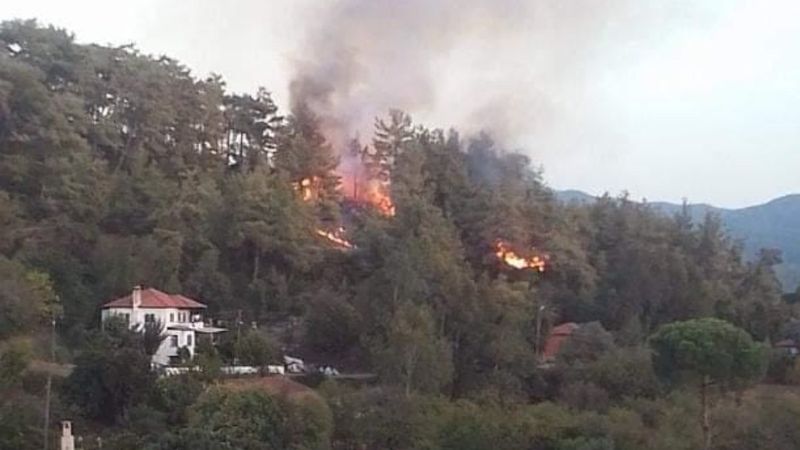 Muğla'da orman yangını