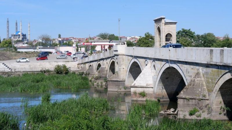 Edirne'deki Tunca Nehri'nde ot ve sazlık öbekleri oluştu