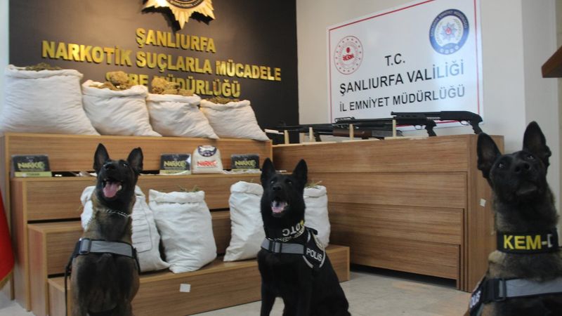 Şanlıurfa'da uyuşturucu operasyonunda 86 şüpheli tutuklandı