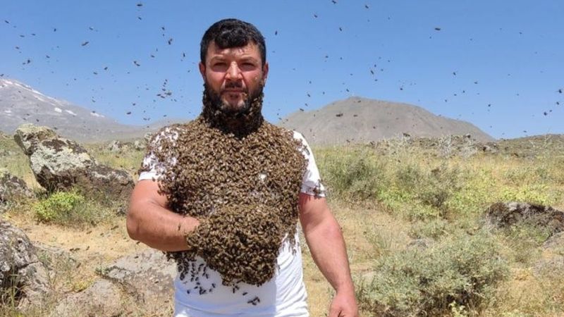 Batman’da binlerce arıyı vücudunda taşıdı