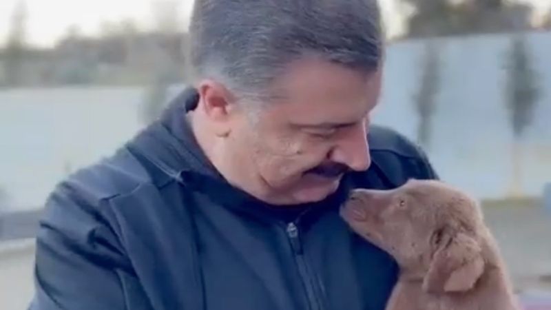 Fahrettin Koca'dan Dünya Hayvanlarını Koruma Günü paylaşımı