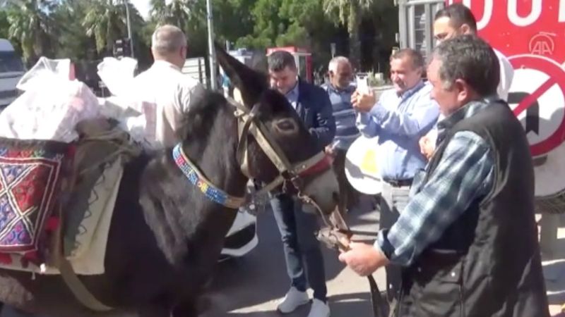 Güreş ağası, 1 milyon 17 bin TL ağalık parasını katırla getirdi