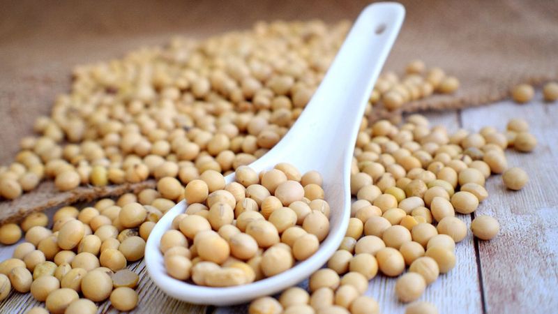 Kırmızı etten daha fazla demir içeren 7 gıda