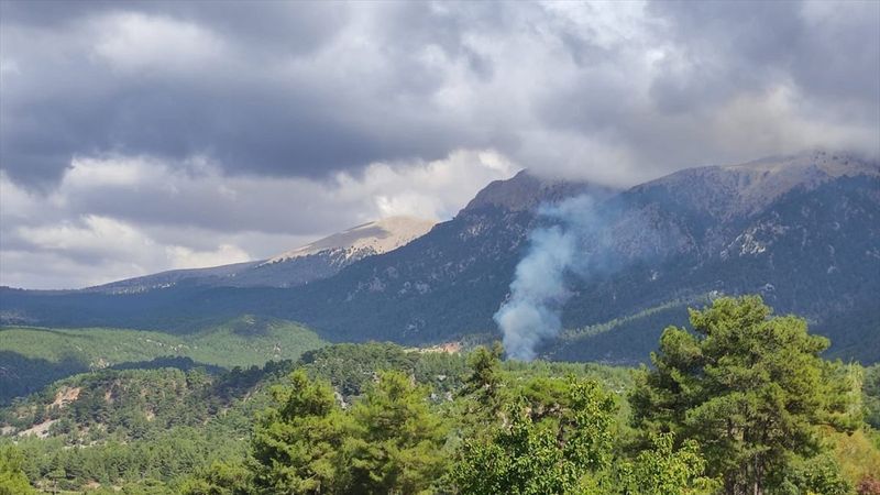 Muğla'da orman yangını